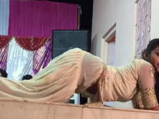 A charming Indian girl performs a sensual dance
