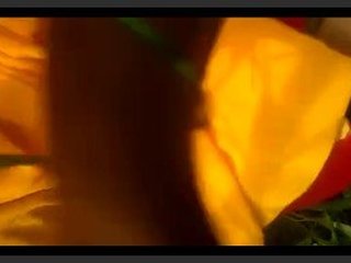 A mischievous Tamil housewife displays her large breasts outdoors