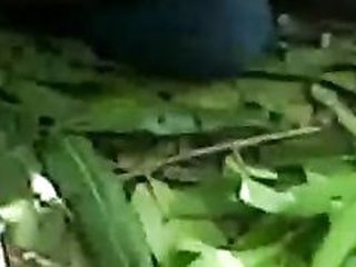 Desi MMS video of a young couple enjoying outdoor sex in India