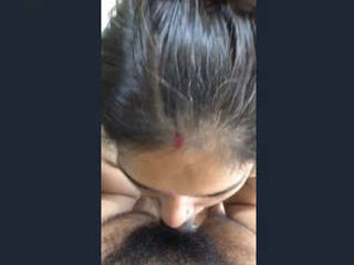 Desi bhabhi gives a hot blowjob to her husband