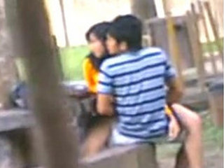 Desi students record their sexual escapades in Voyur Park