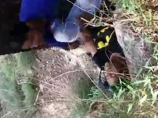 Real college girls enjoy sex in the jungle