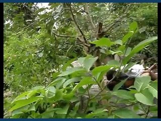Bhabhi from Dehradun indulges in sexual activities in the forest